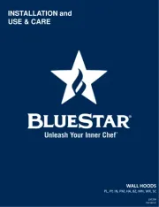 BlueStar