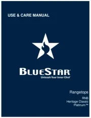 BlueStar