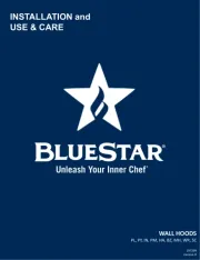 BlueStar