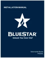 BlueStar