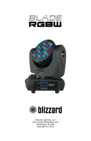 Blizzard