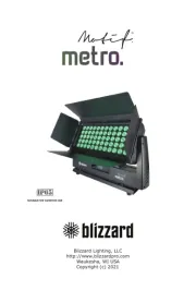 Blizzard