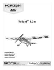 E-flite