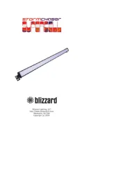 Blizzard