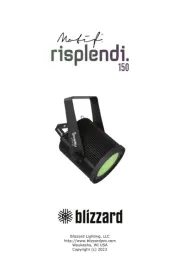 Blizzard
