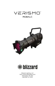 Blizzard