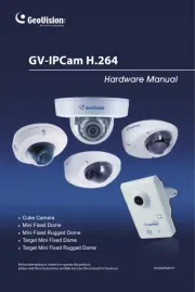 Geovision