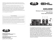 CAD Audio