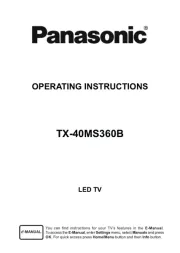 Panasonic