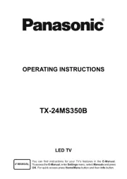 Panasonic