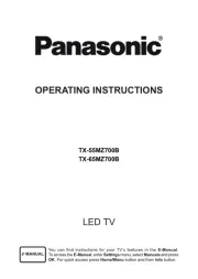 Panasonic