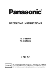 Panasonic
