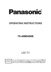 Panasonic