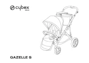 Cybex
