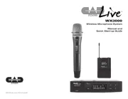 CAD Audio
