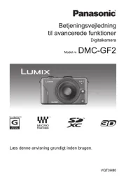 Panasonic