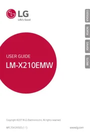 LG