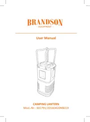 Brandson