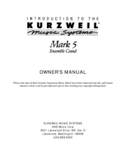 Kurzweil