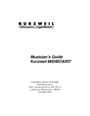 Kurzweil