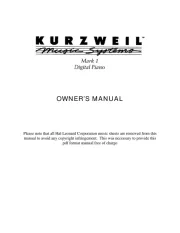 Kurzweil