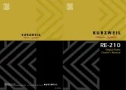 Kurzweil