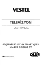 Vestel