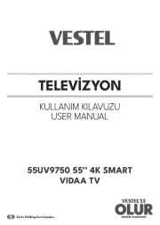 Vestel