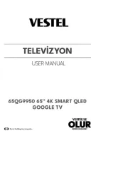Vestel