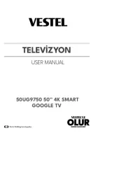Vestel
