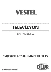 Vestel