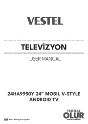 Vestel