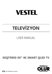 Vestel