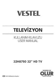 Vestel