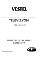 Vestel