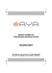 AYA