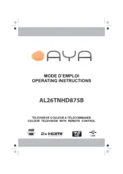 AYA