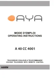 AYA