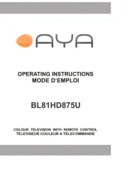 AYA