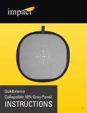 Impact