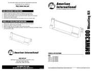 American International