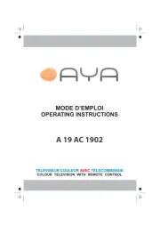 AYA