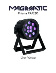 Magmatic