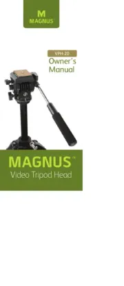 Magnus
