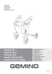 Gemino