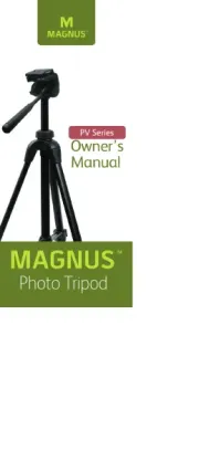 Magnus