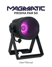 Magmatic