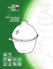 Big Green Egg