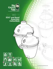 Big Green Egg