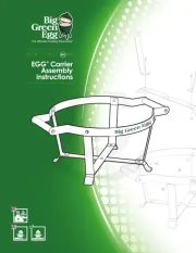Big Green Egg